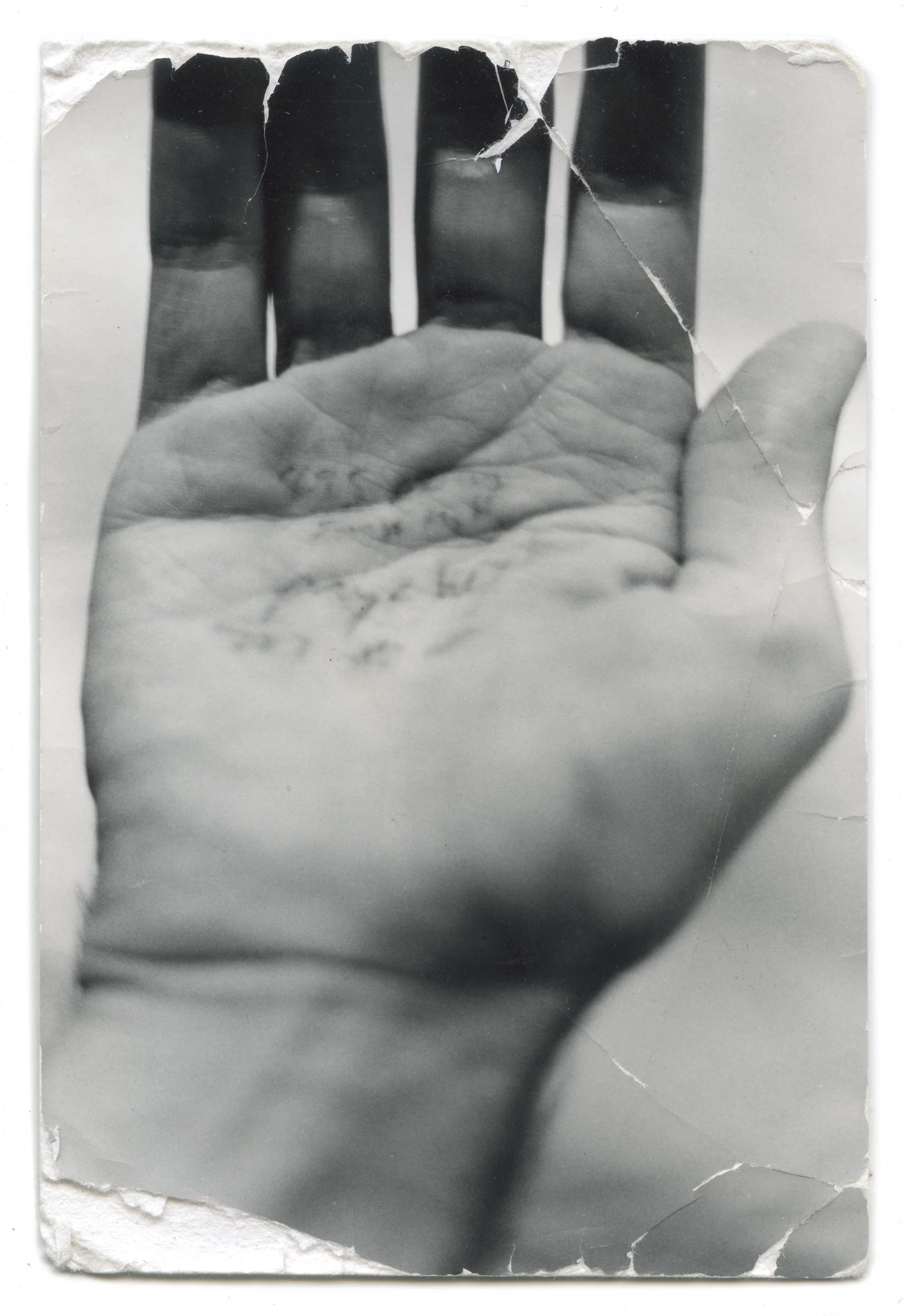 noncorpum xx, an old hand