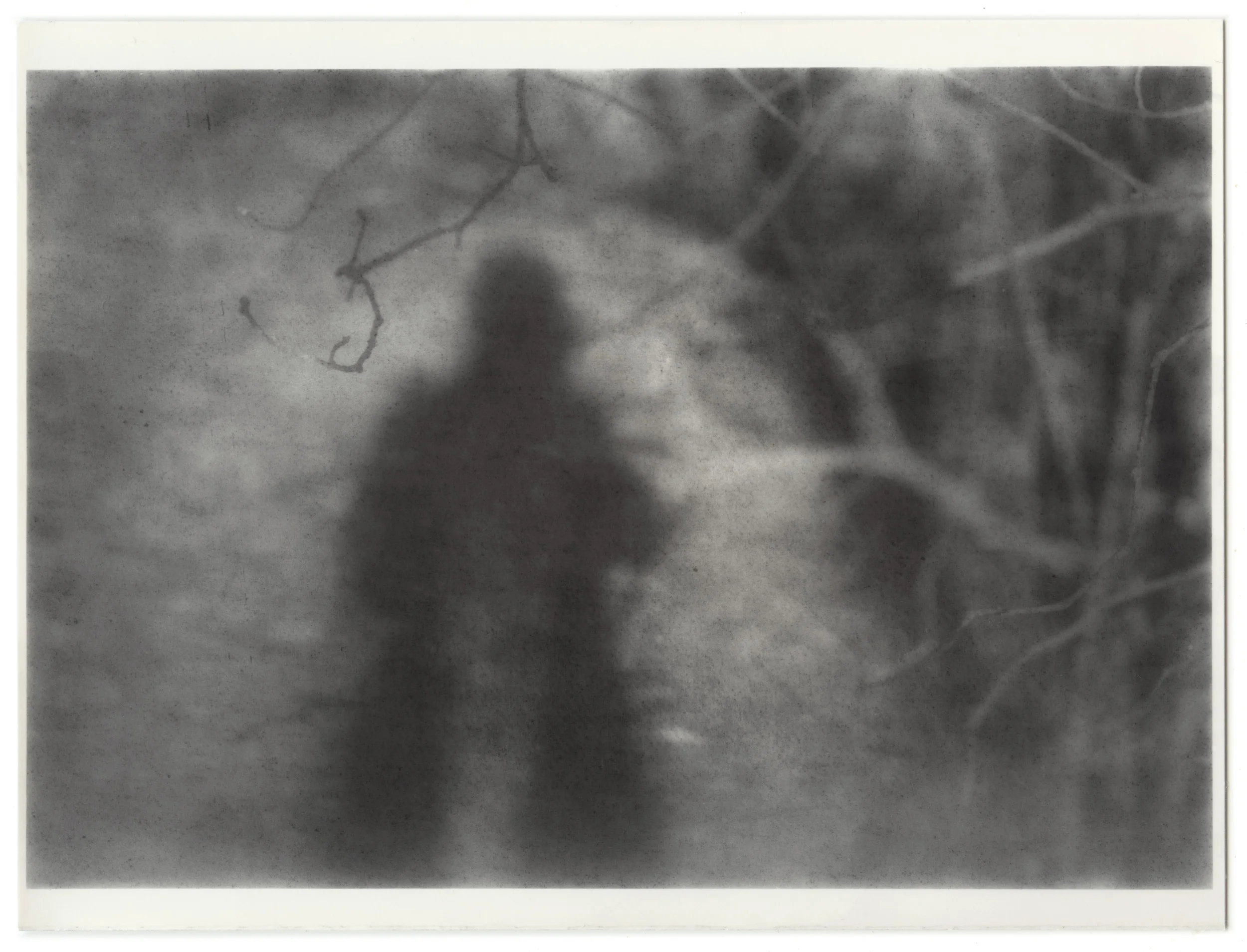 noncorpum 24, light within
