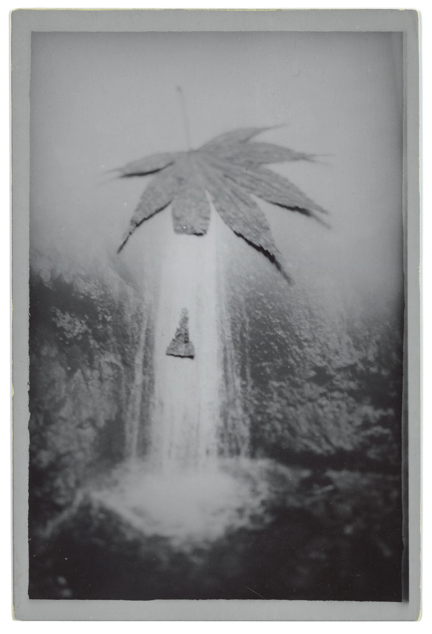 noncorpum 20, eden in Autumn**