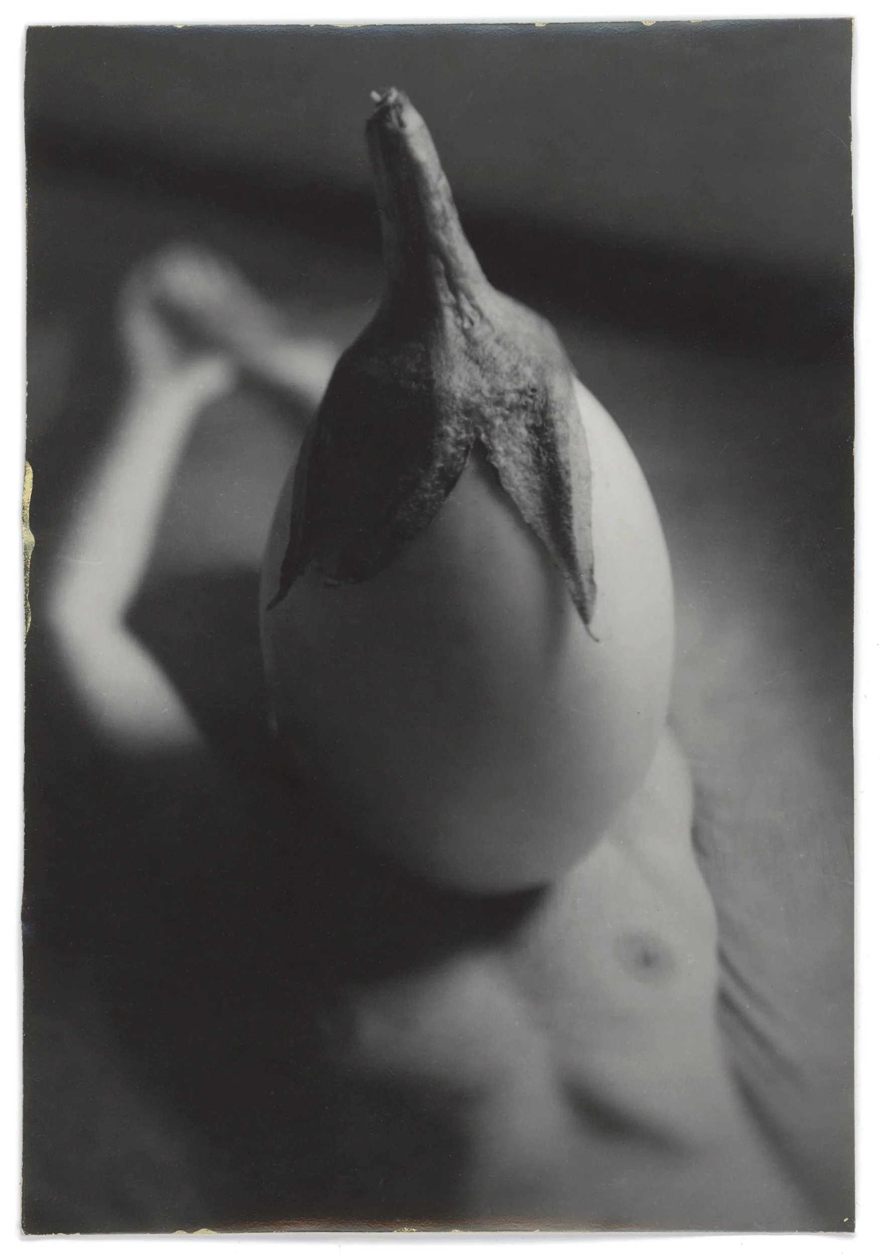 noncorpum 06, egg on egg with gold