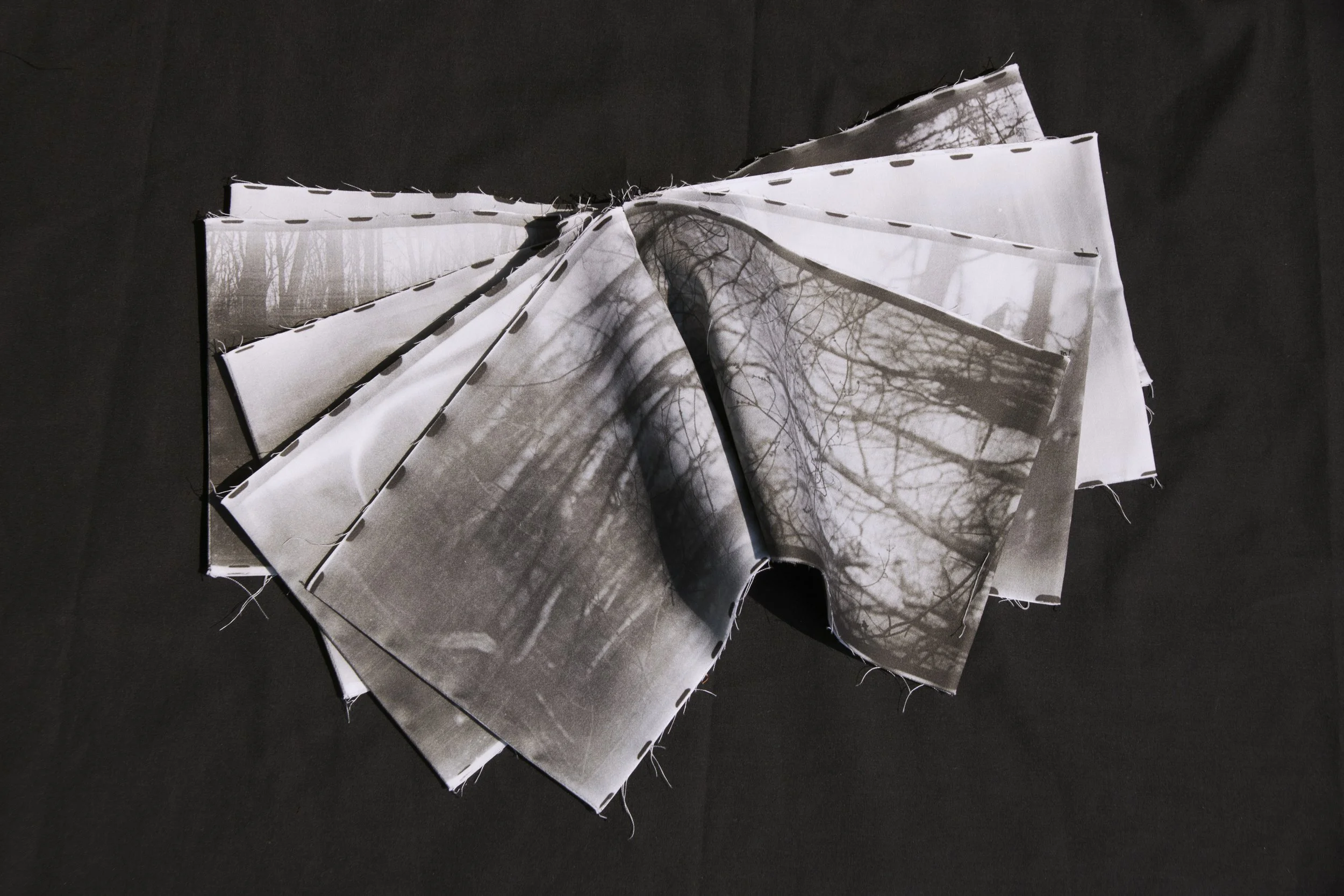  Tangled Limbs, fabric bound, 2022 