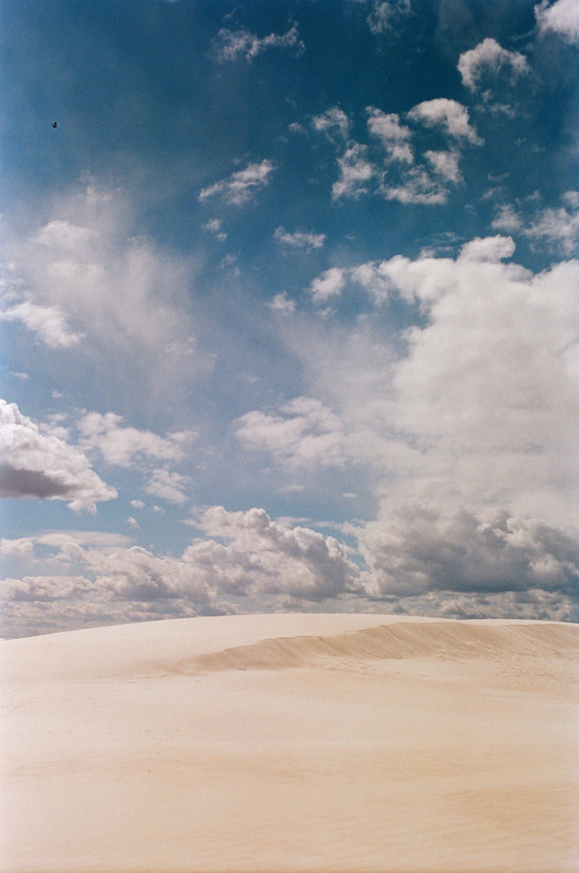 04 - White Sands.JPG