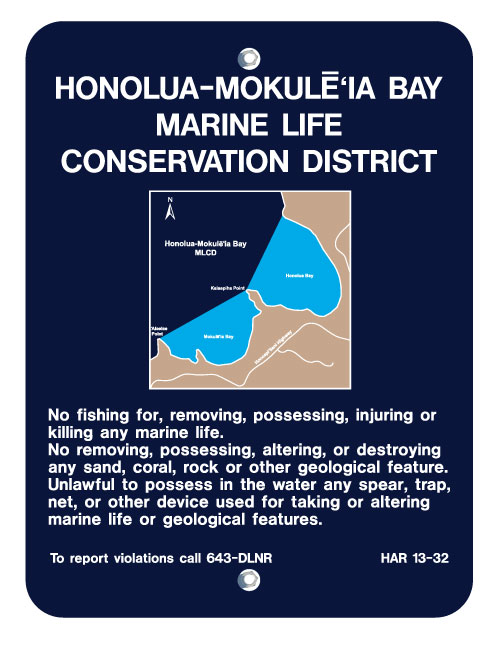 Sign layout 0101.jpg