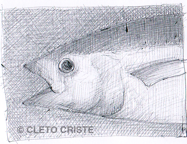 0023_fish 2.jpg