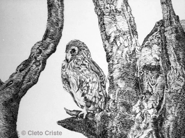 Pen&Ink_003_web.jpg