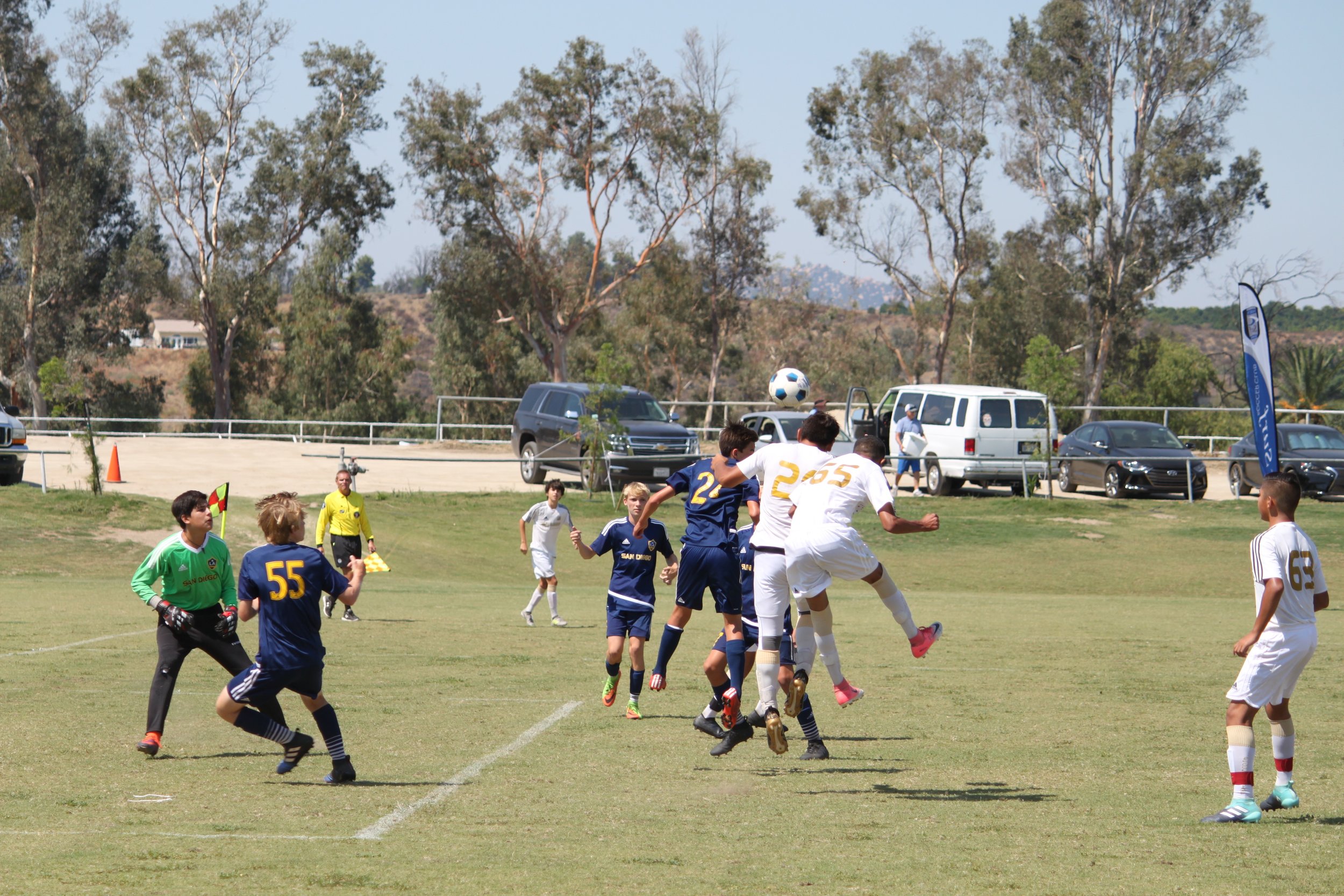 IMG_8117.jpg