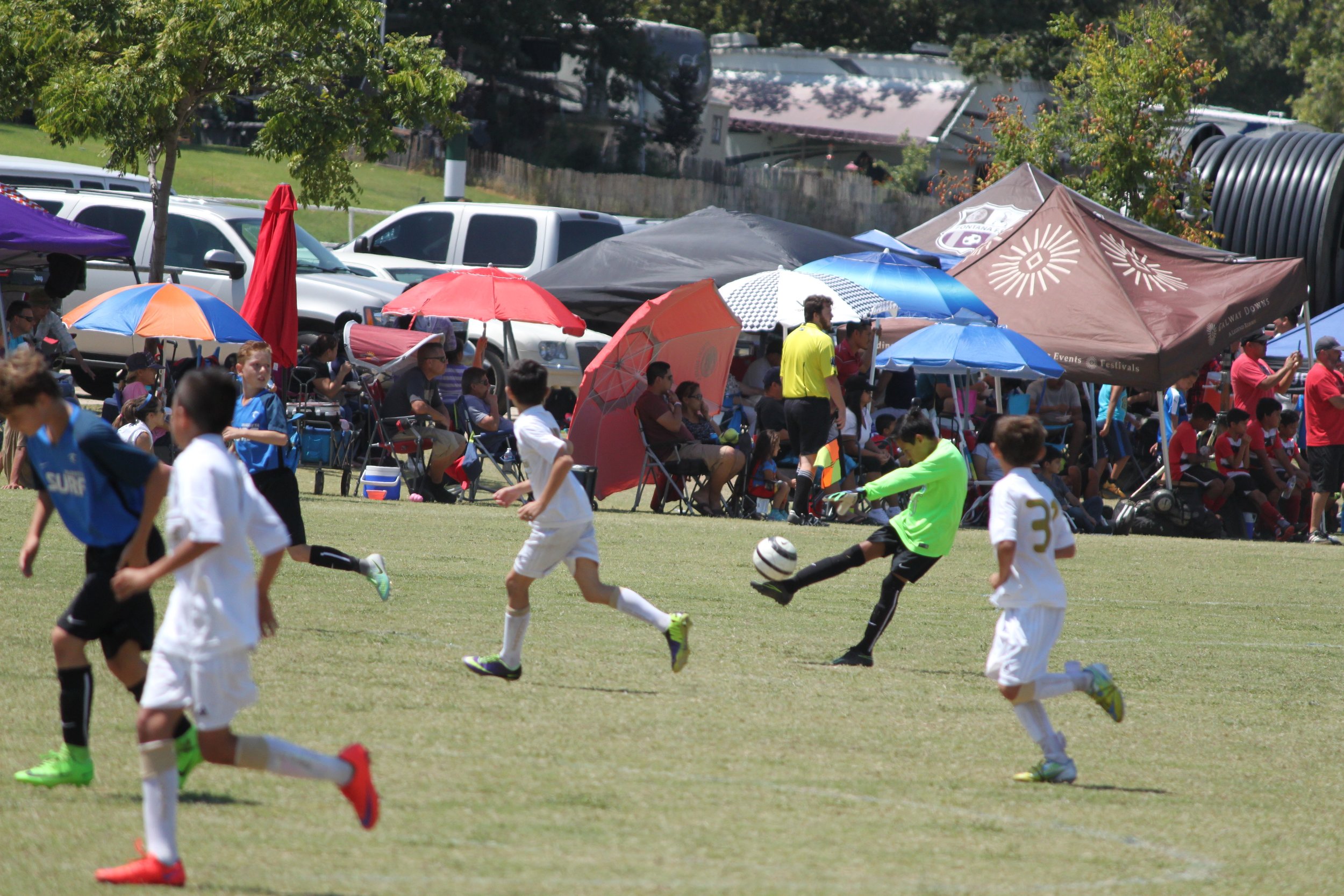 IMG_8226.jpg