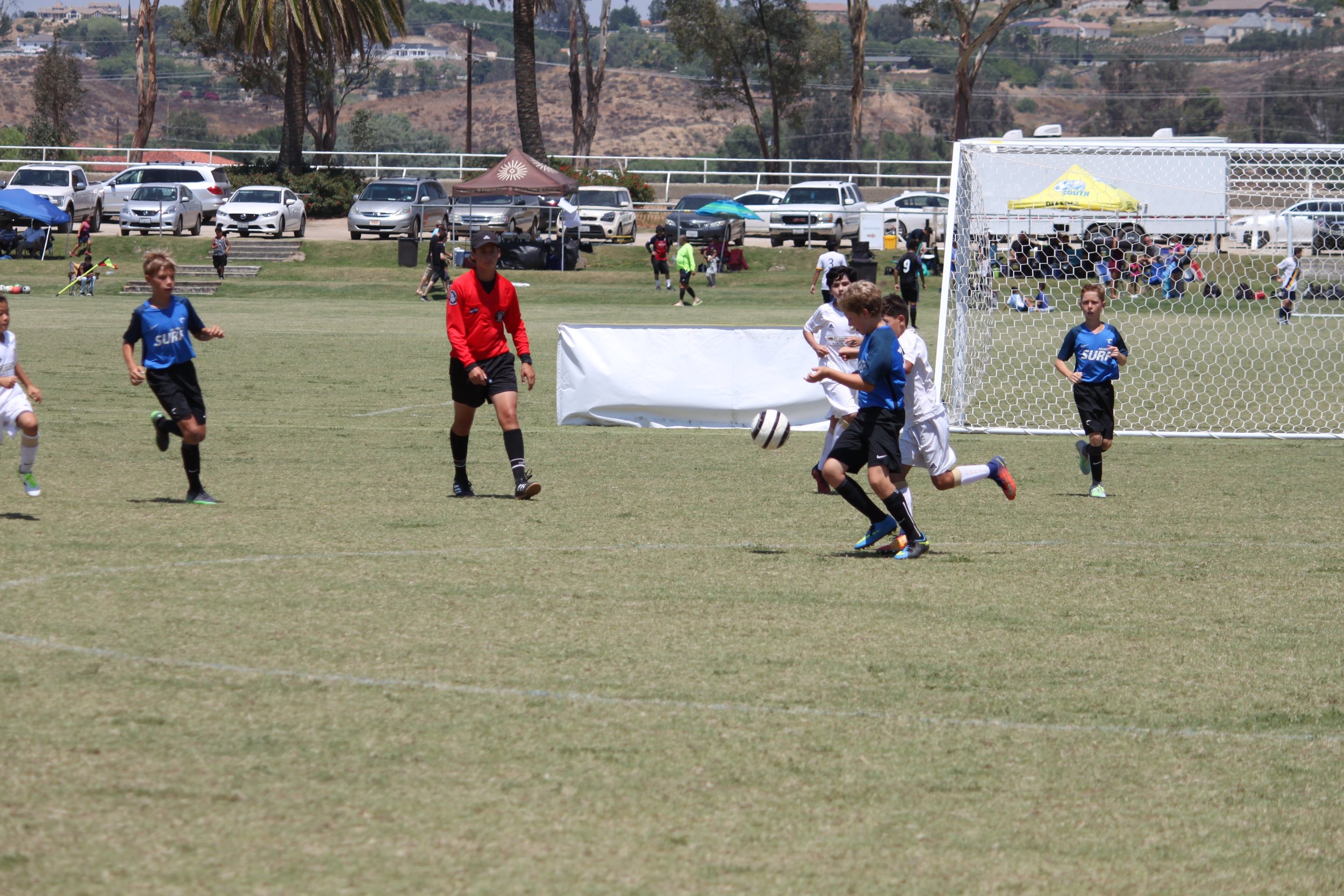 IMG_8267.jpg