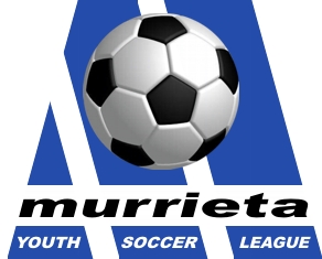 MYSL Director of League Services - Robert Silva myslleagueservices@gmail.com