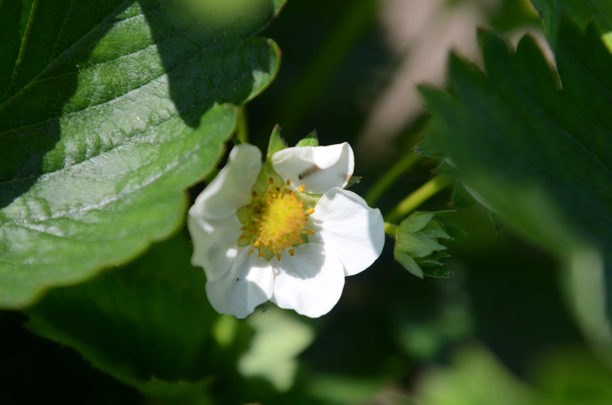 Putting Nature's lessons into practice