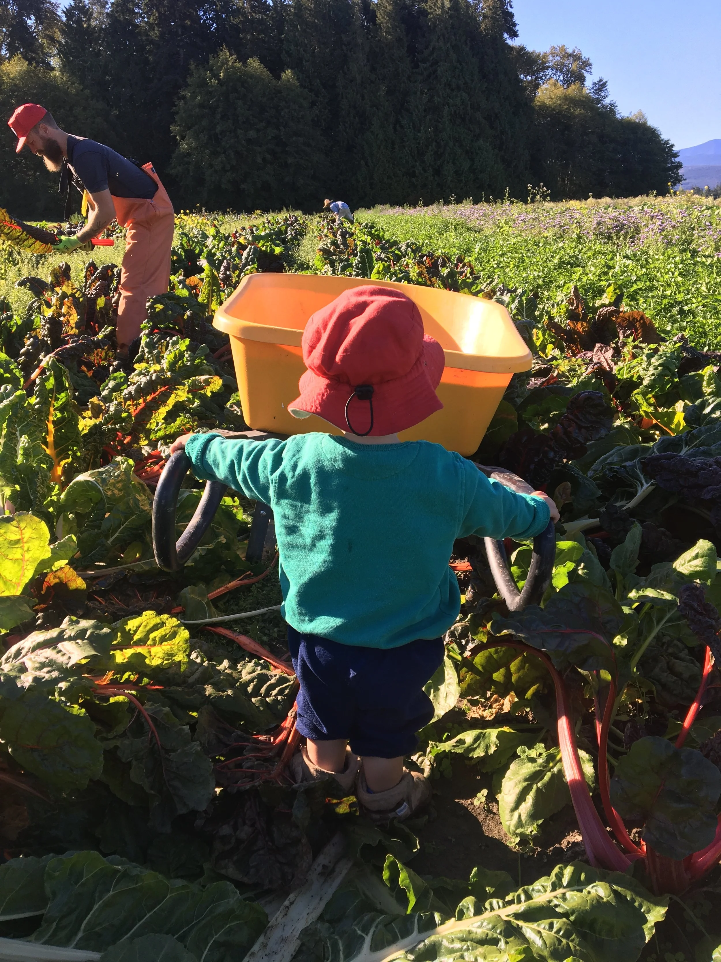 Growing Up With Grit