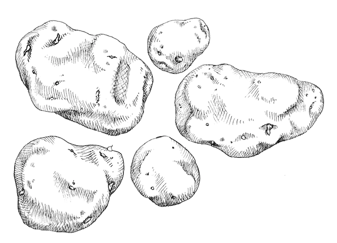 37955713_255437468393767_8537988345534349312_n(1)-2.jpg