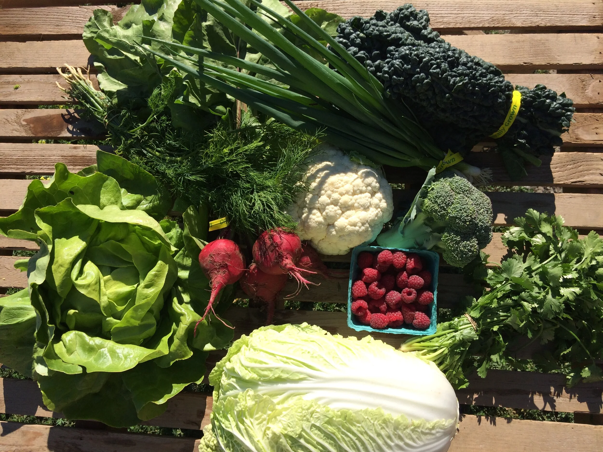 Locals, On-Farm Farmshare pick up