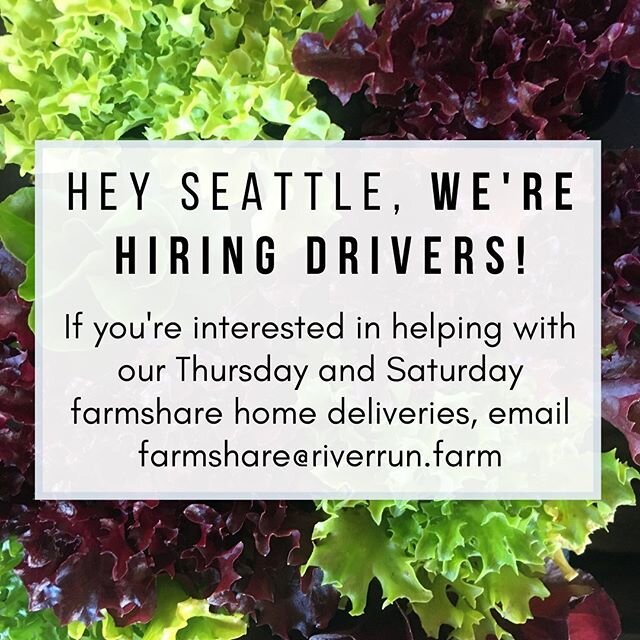 Hi folks, help us spread the word if you or anyone you know in Seattle might be interested! We&rsquo;re looking for one or two drivers to help us deliver our farmshare to homes Thursday&rsquo;s and Saturdays. This would likely be several hours of wor