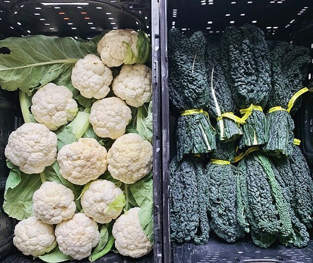 Hey Seattle! We will be at U District Farmers Market tomorrow, and Ballard on Sunday! Here&rsquo;s what we&rsquo;ll be bringing:
-cauliflower
-kale -a variety of lettuces!
-salad mixes -arugula
-broccolini
-chard -napa cabbage
-kohlrabi
-bok choy 
an