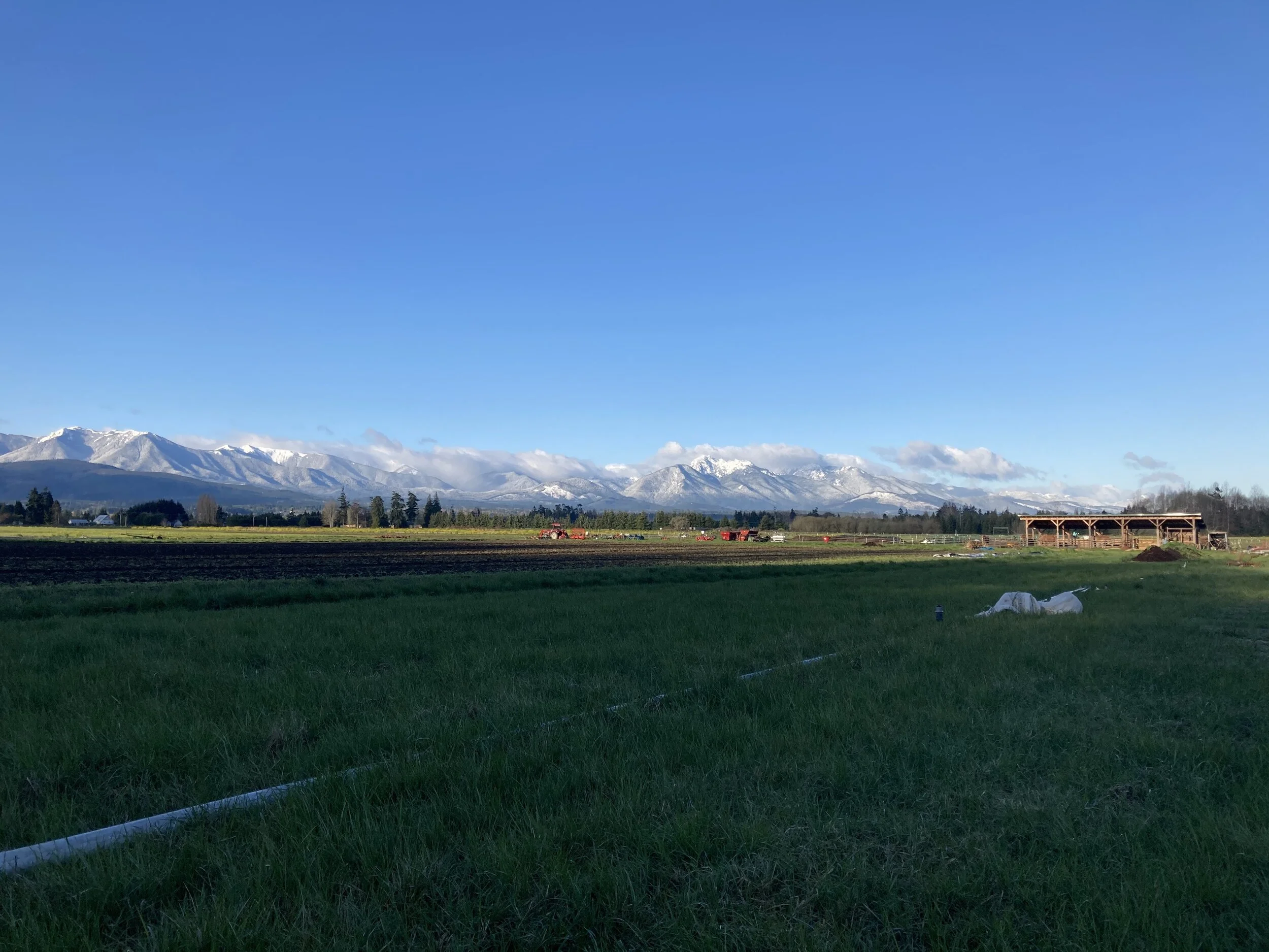 morning frosty mtns rrf.jpg