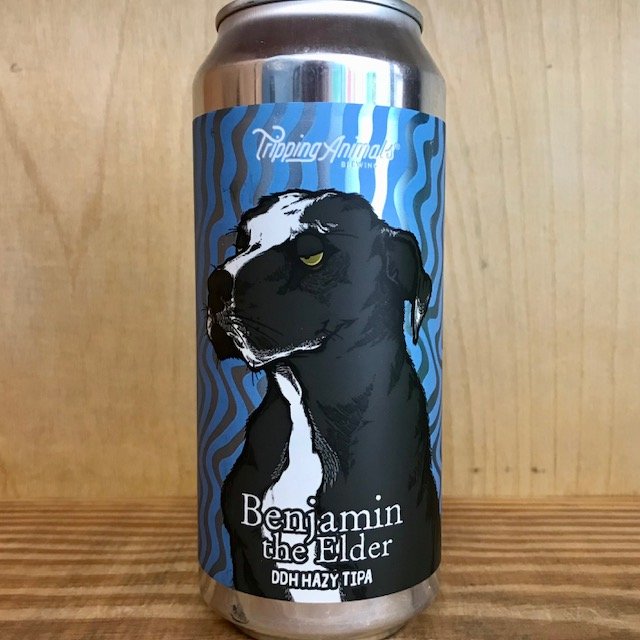 Tripping Animals Benjamin the Elder Single.jpeg