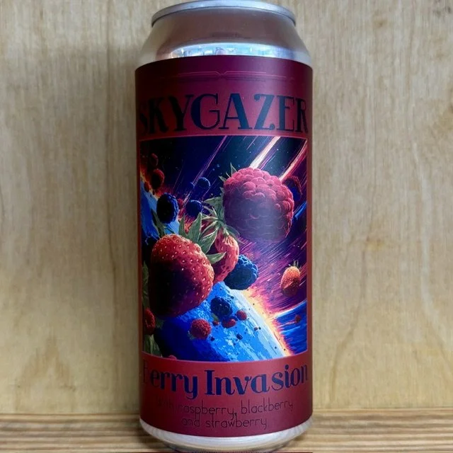 Skygazer Berry Invasion Single.jpeg