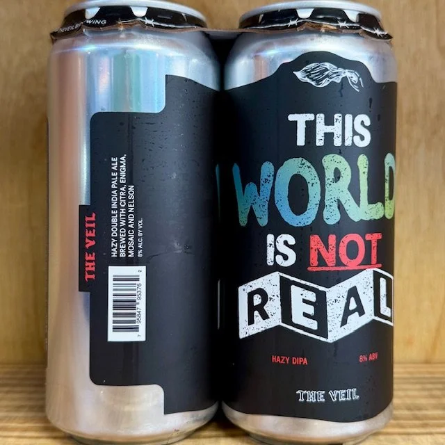 The Veil This World is Not Real.jpg