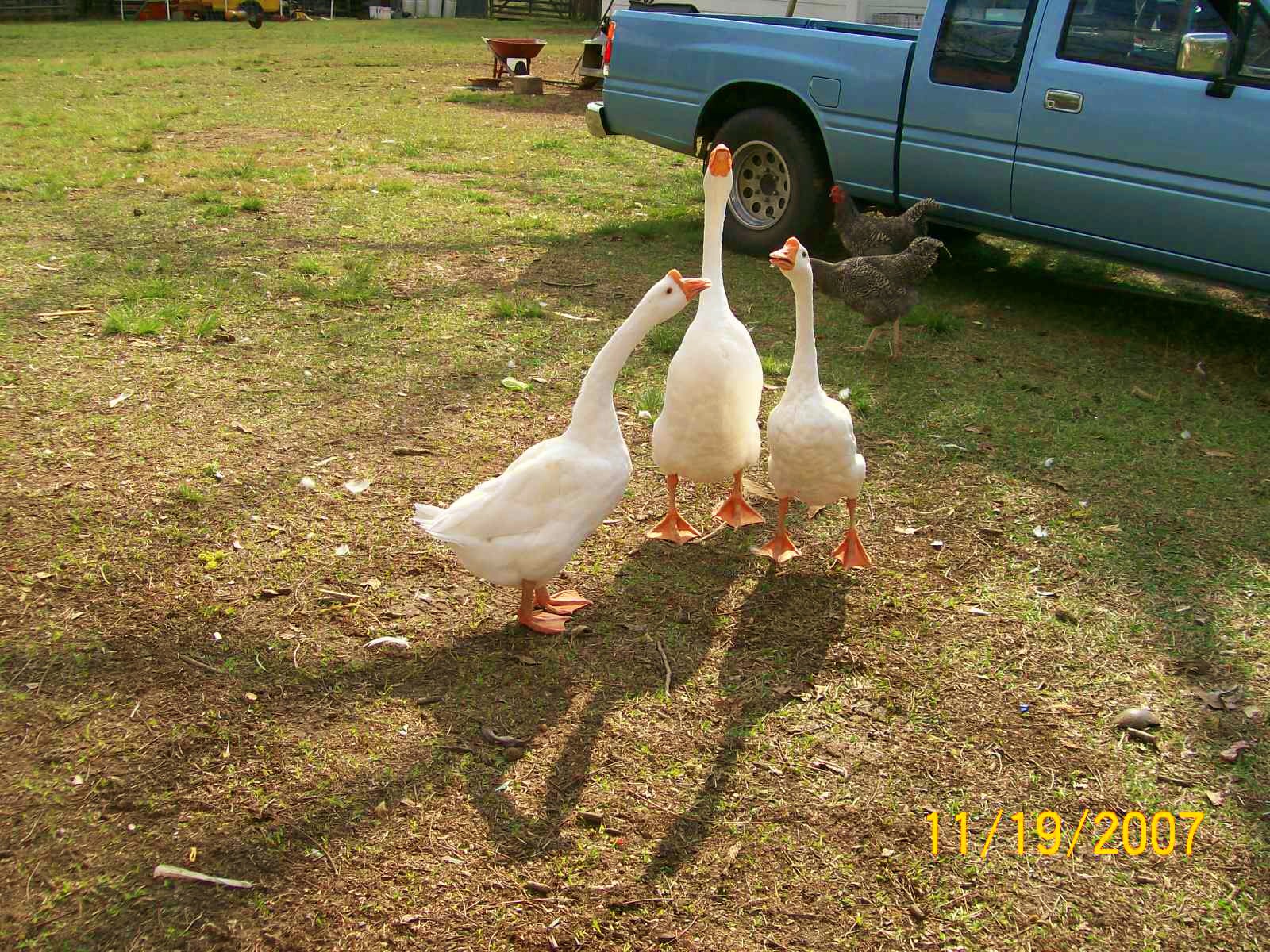 100_0062.jpg