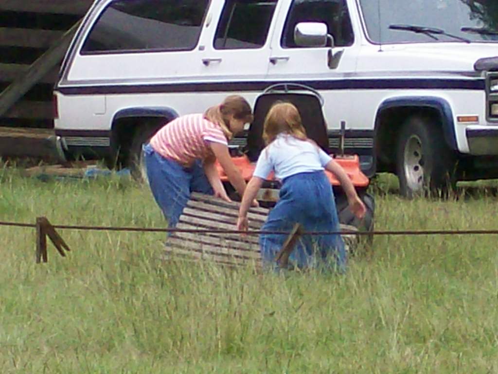 000_0010.jpg