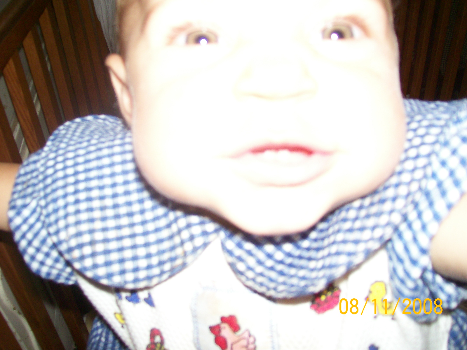100_0720.jpg