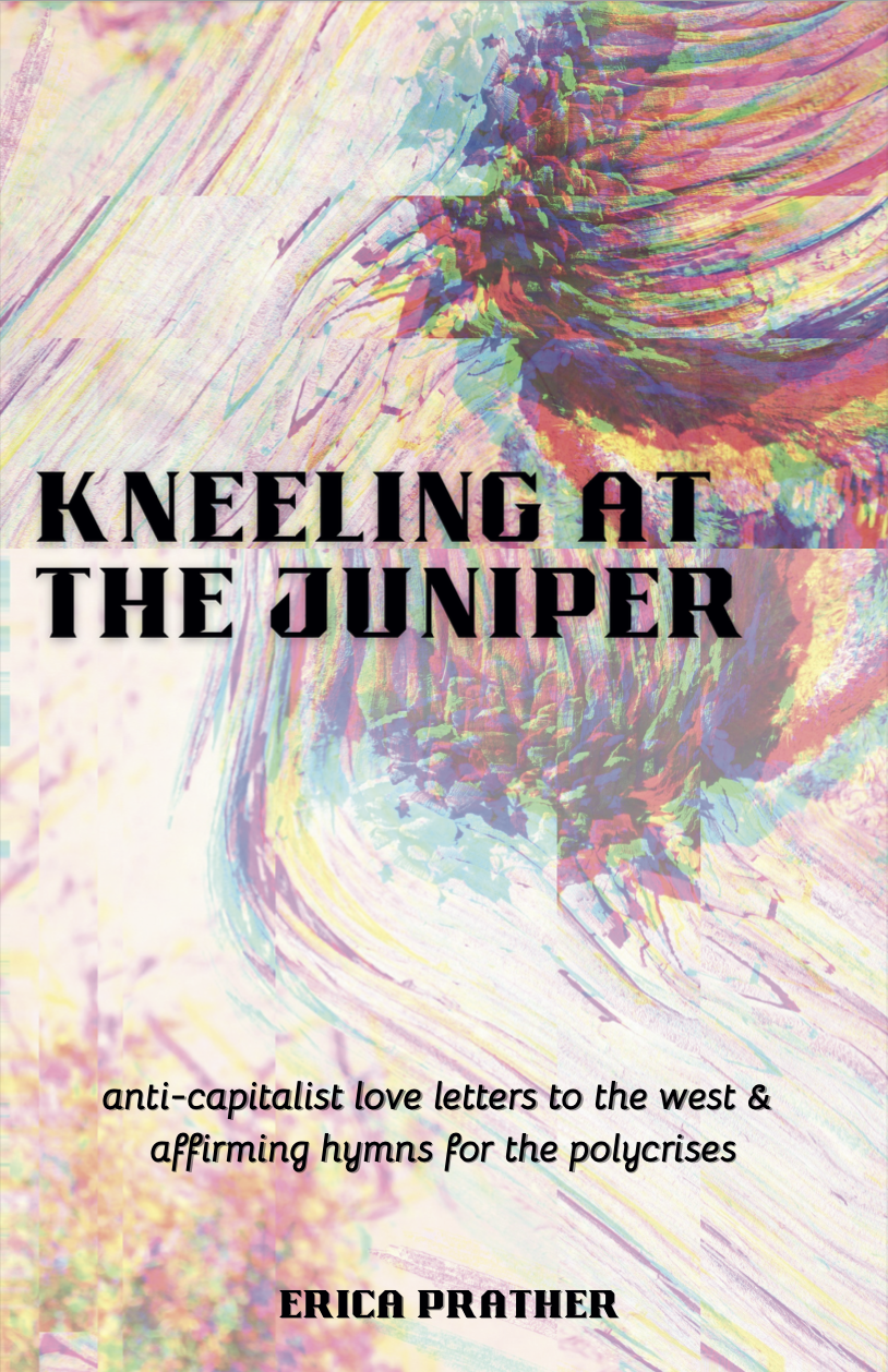 Screen Shot 2025-07-17 at 1.11.45 PM 1.png