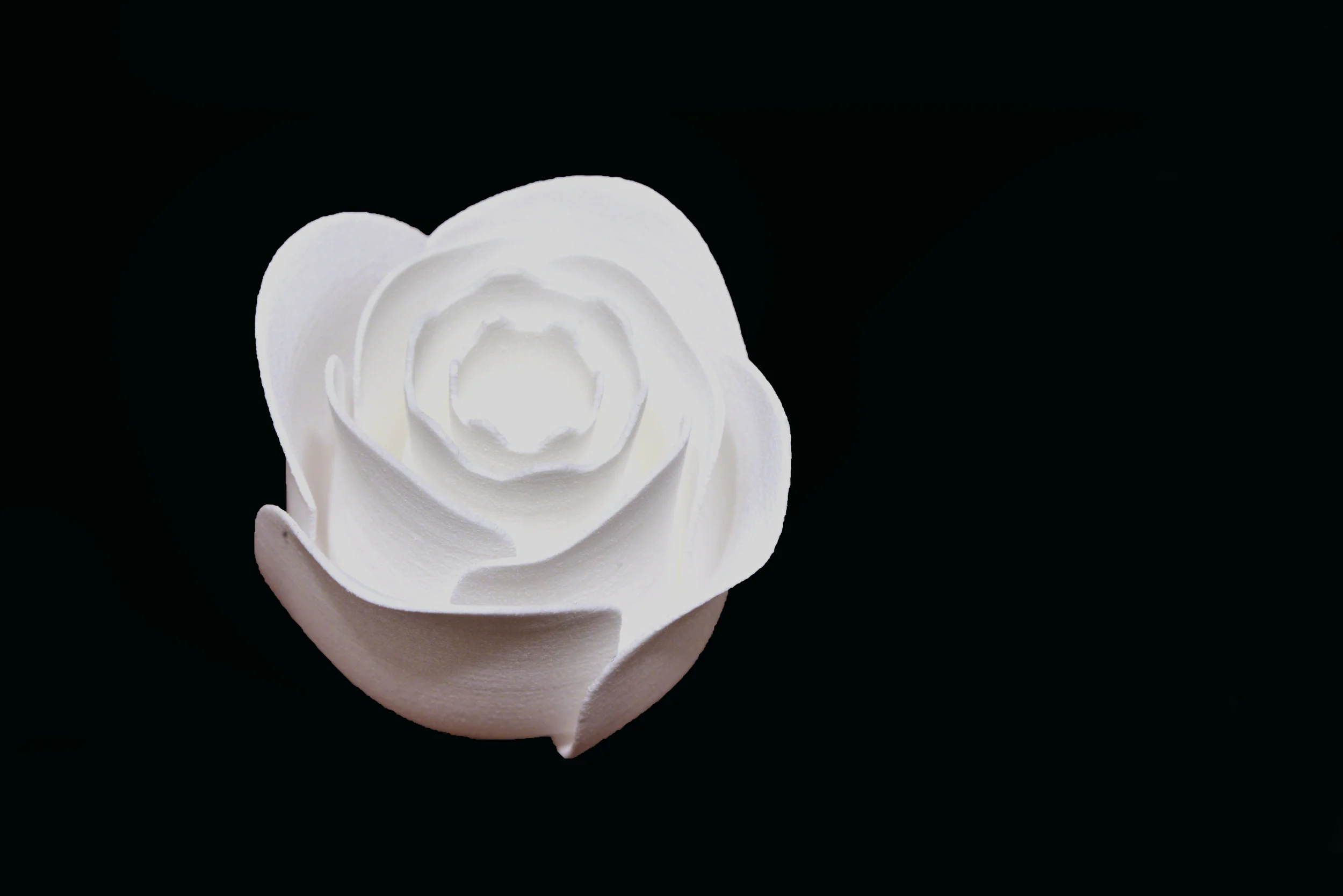 rose.jpg