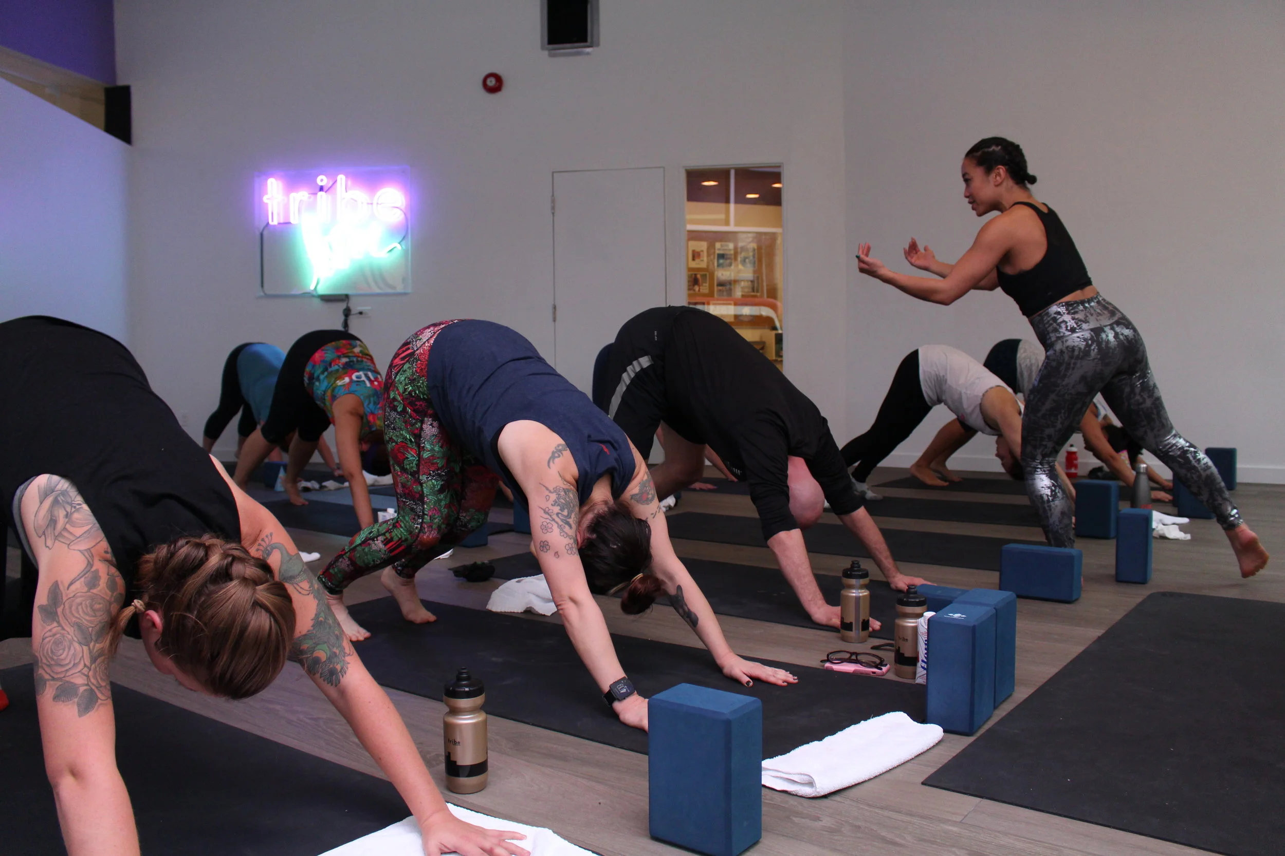 Tribe Fitness