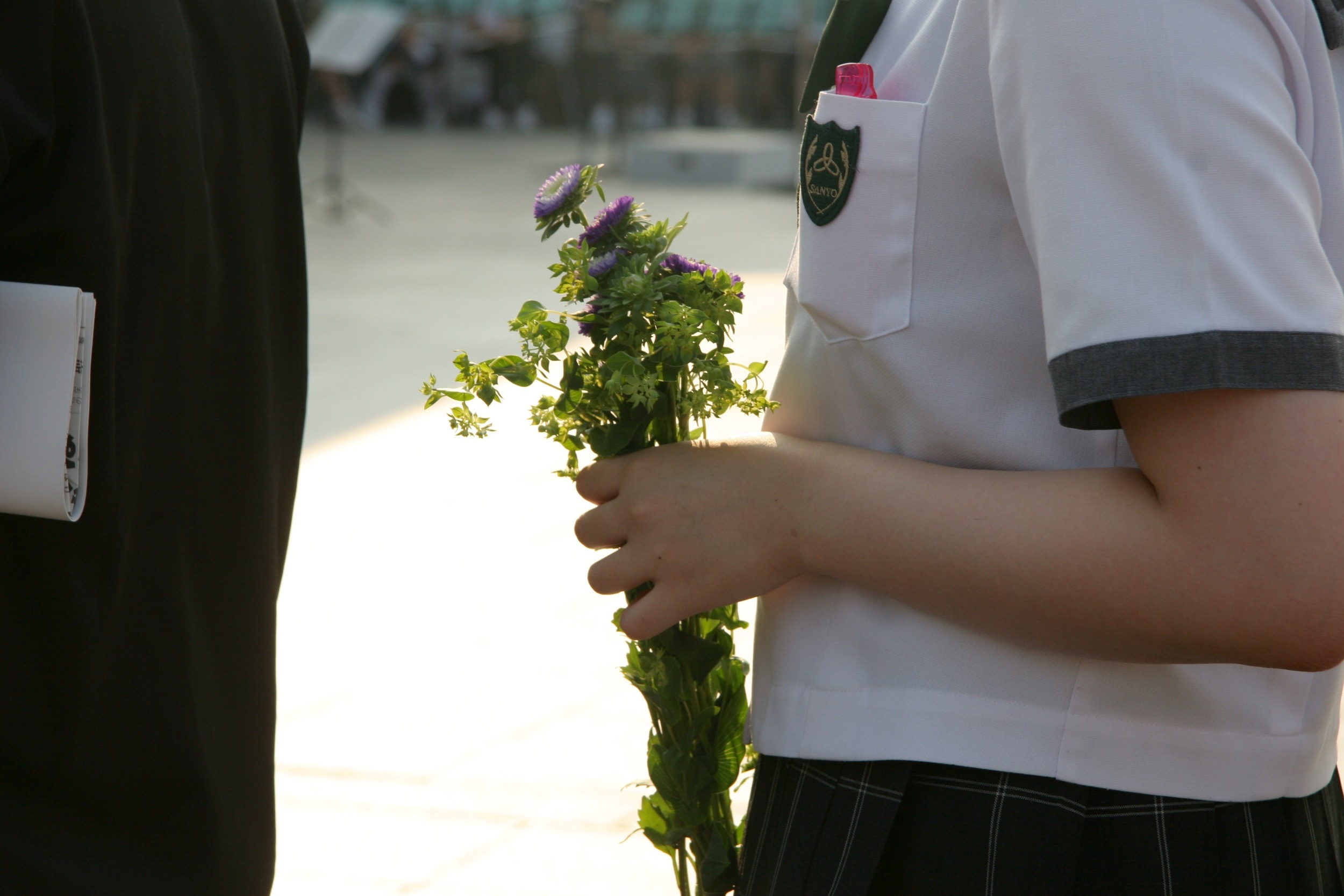 Flowers to lay at the cenotaph