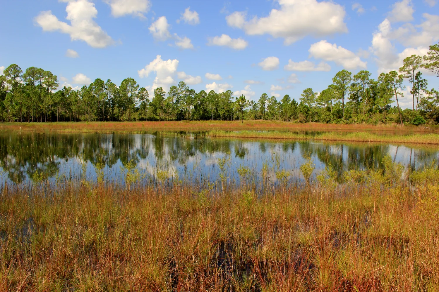 Hunter Pond's Instagram, Twitter & Facebook on IDCrawl