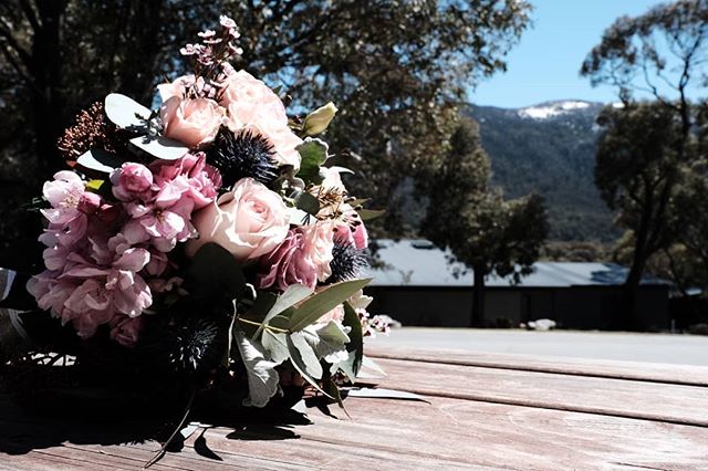 All ready for a lovely wedding in a gorgeous place with a gorgeous couple. Congratulations Georgia and Troy.

#wedding #canberraweddingphotographer #kosciouszkonationalpark #weddingphotography