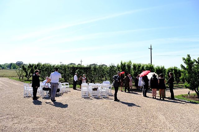 Nice day for a wedding in the orchard. Not long till the bride arrives.

#wedding #canberraweddings #canberraweddingphotographer #love #orchardwedding