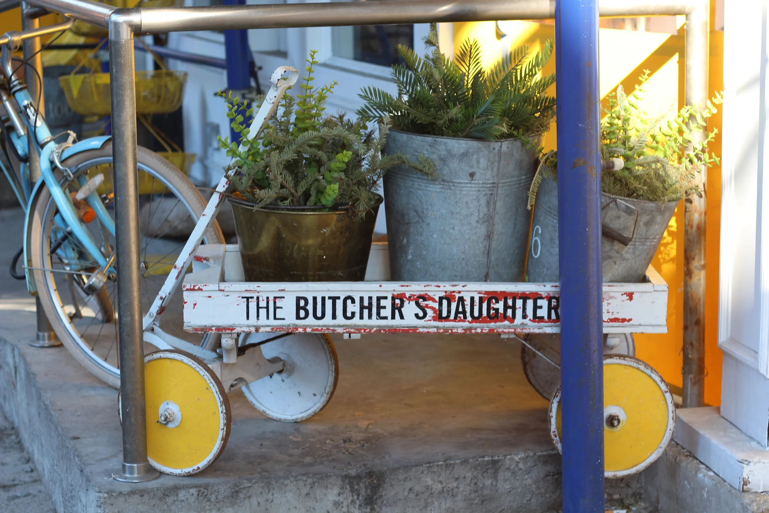 The Butcher's Daughter