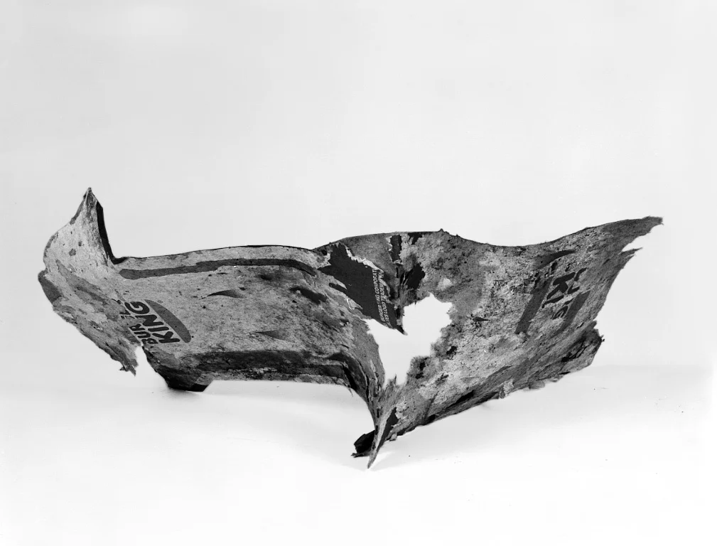 img031.jpg