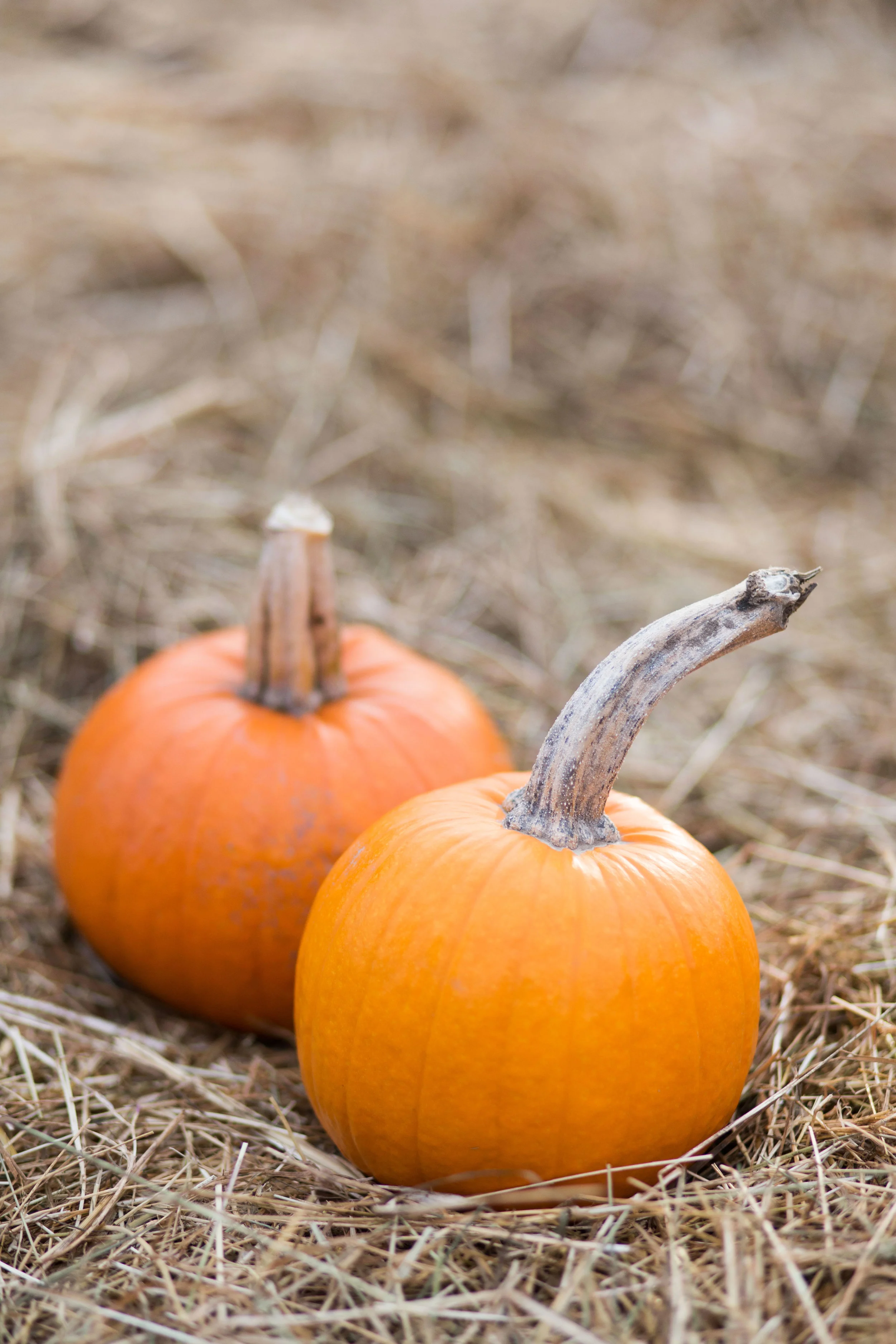 October-2017.jpg