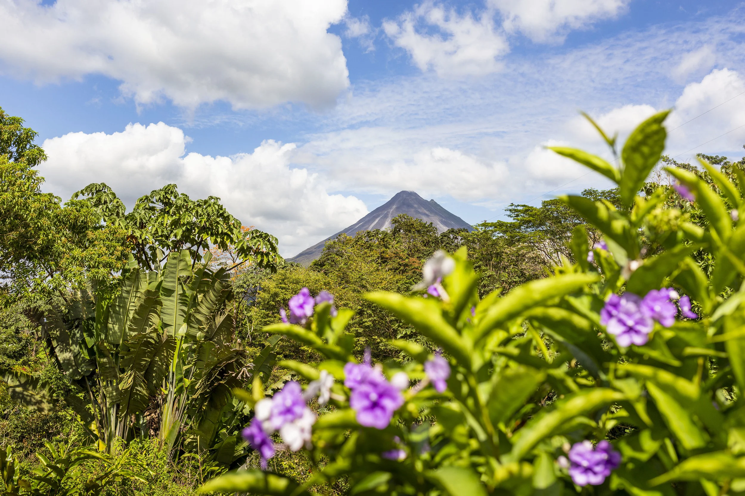 View of the Arenal Volcano from the Butterfly Conservatory in La Fortuna, Costa Rica.