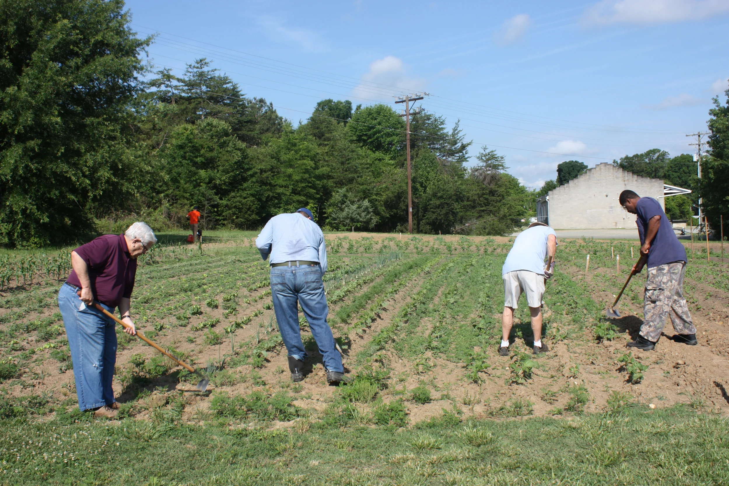 Alamance Breakfast Rotary-Volunteer Day