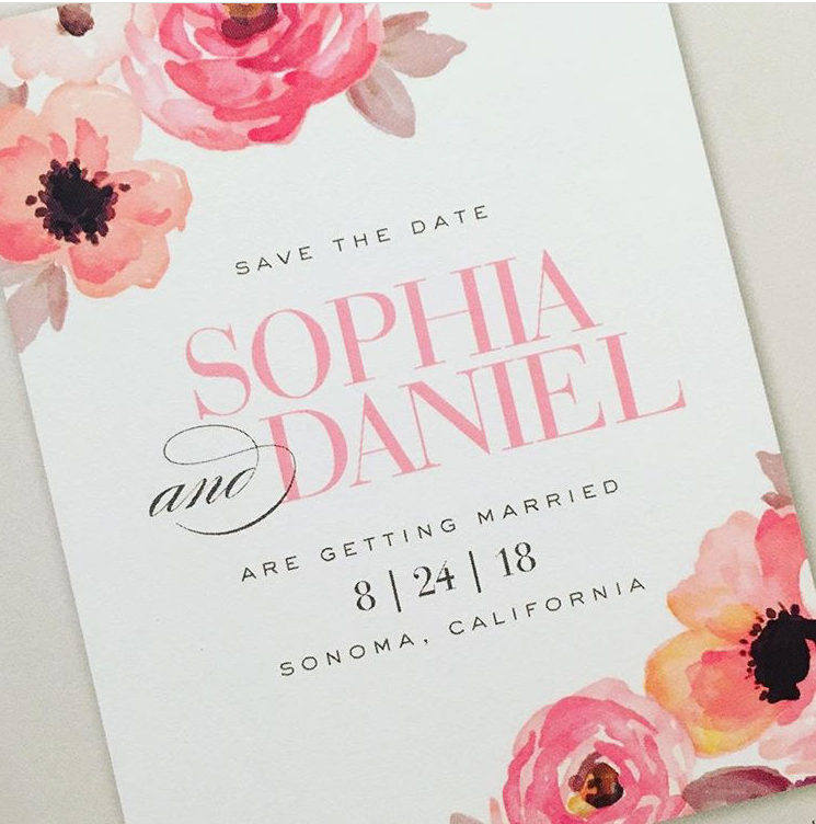 sophia 1.png