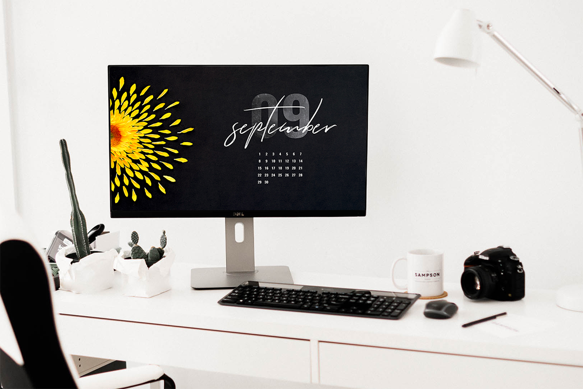 02 Mockup.jpg