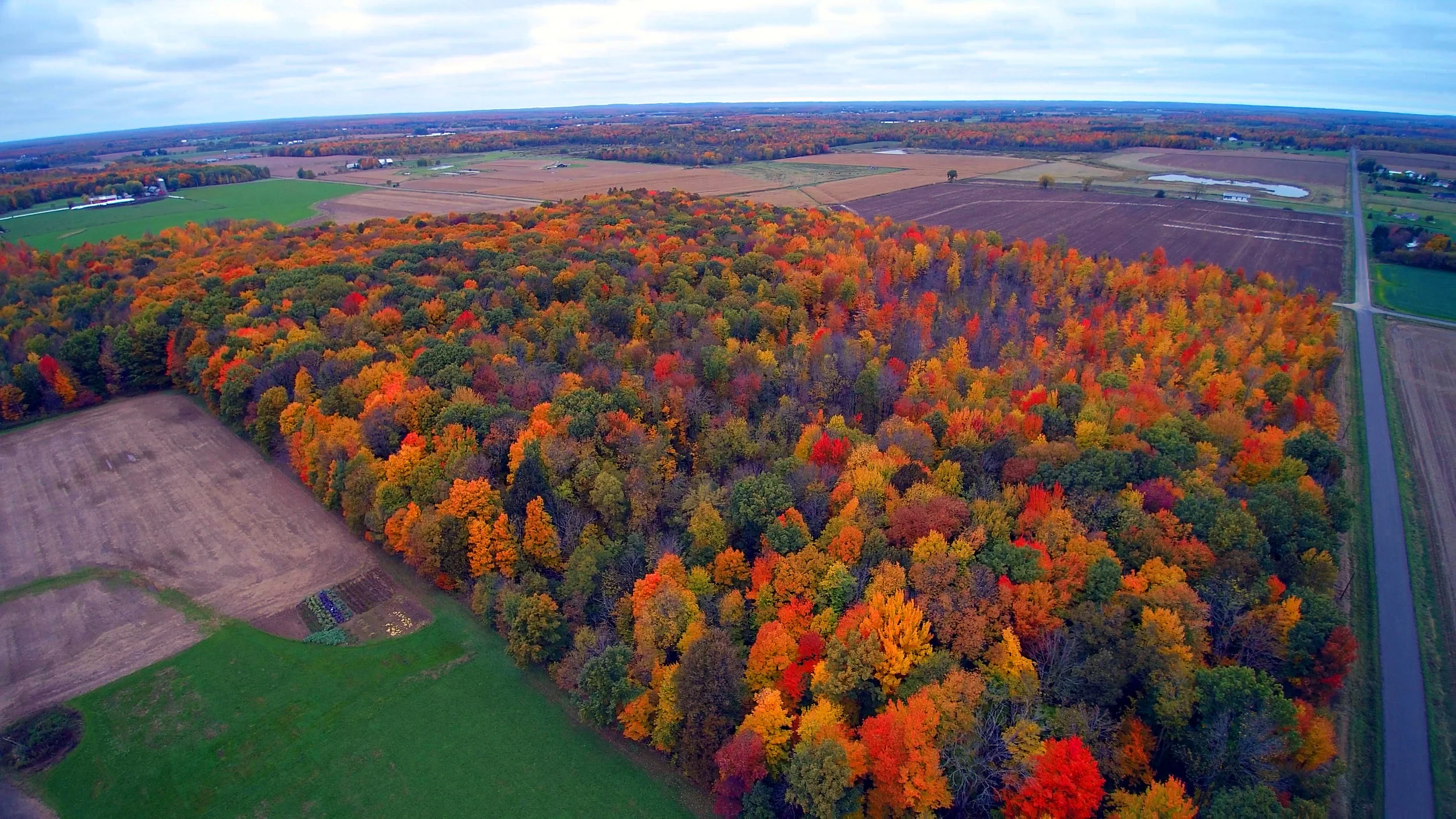 Rural Taylor County 2.jpg