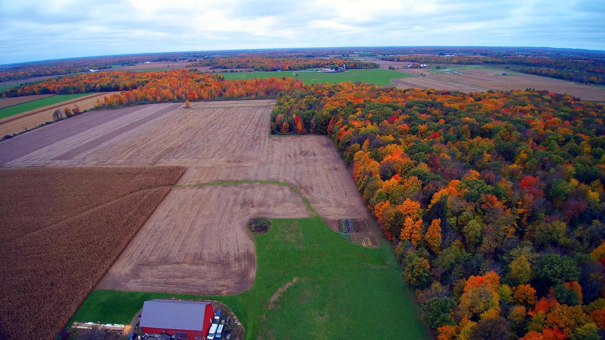 Rural Taylor County.jpg