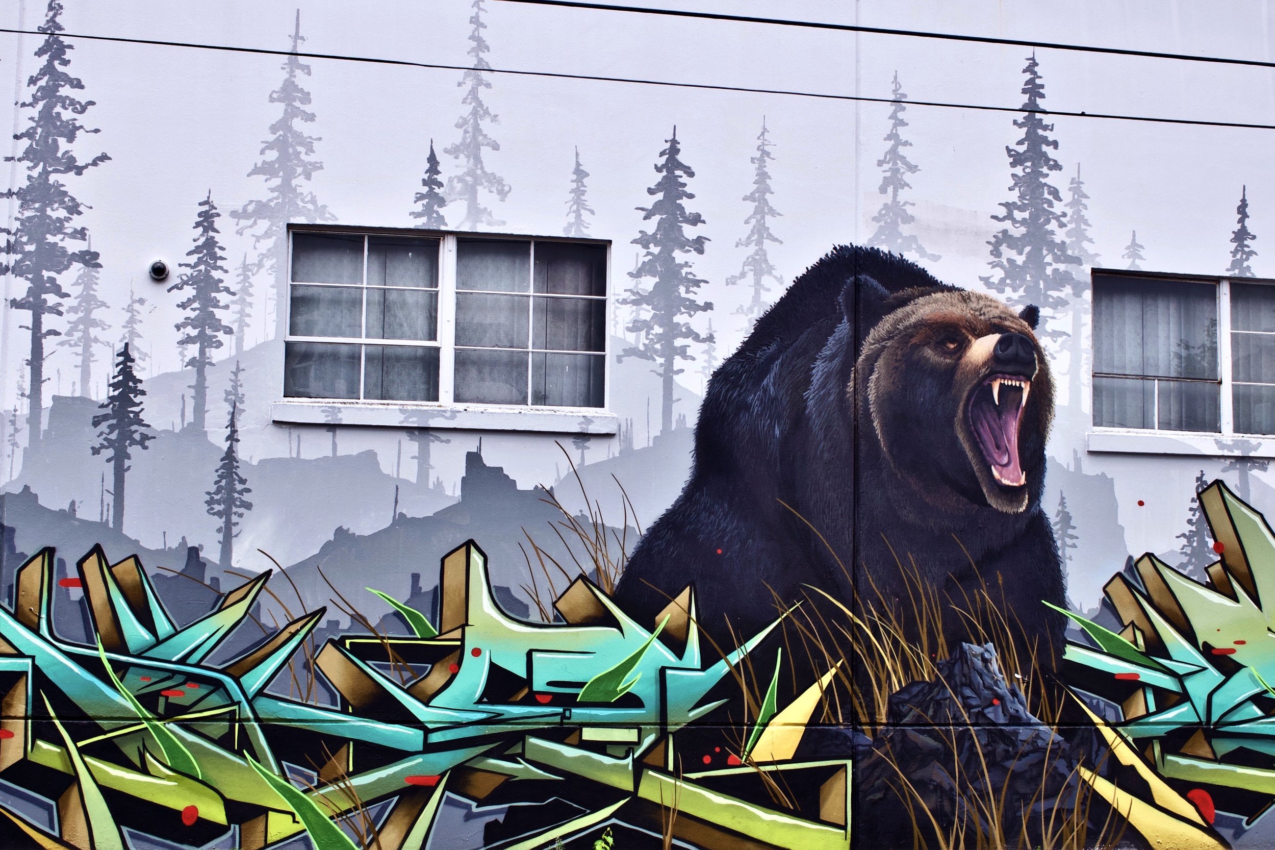Bear Mural (1).jpeg