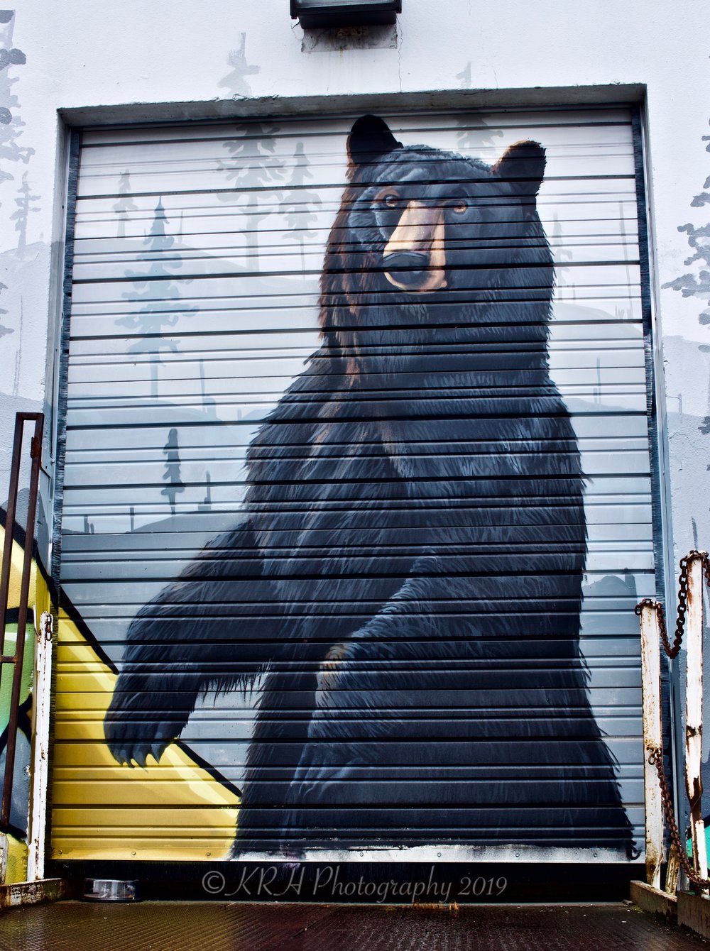 Bear Mural (3).jpeg