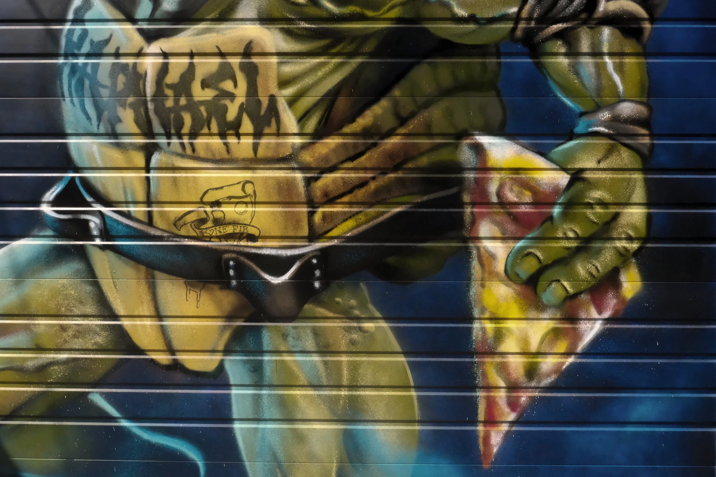 DSCF0530.JPG
