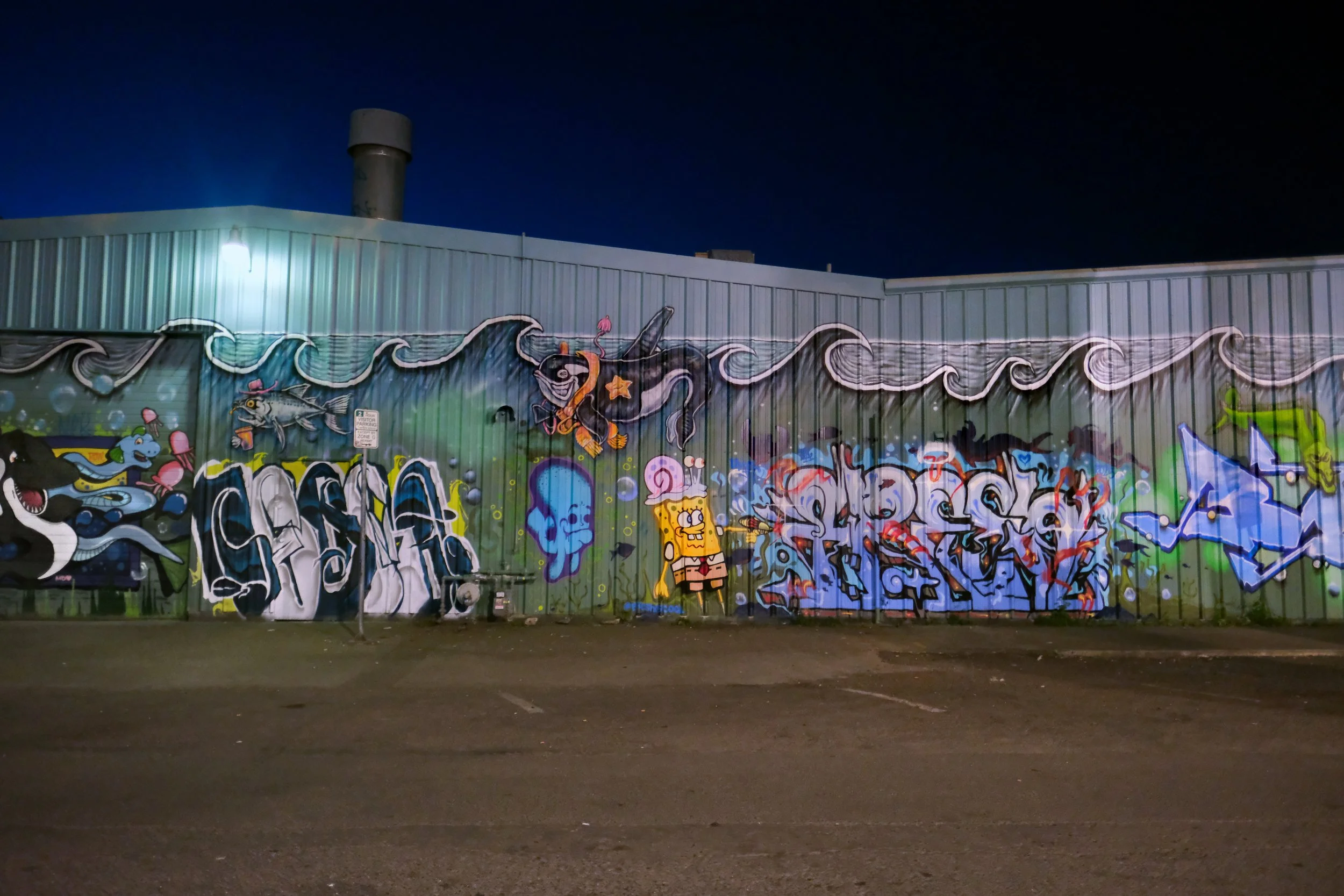 DSCF0946.JPG