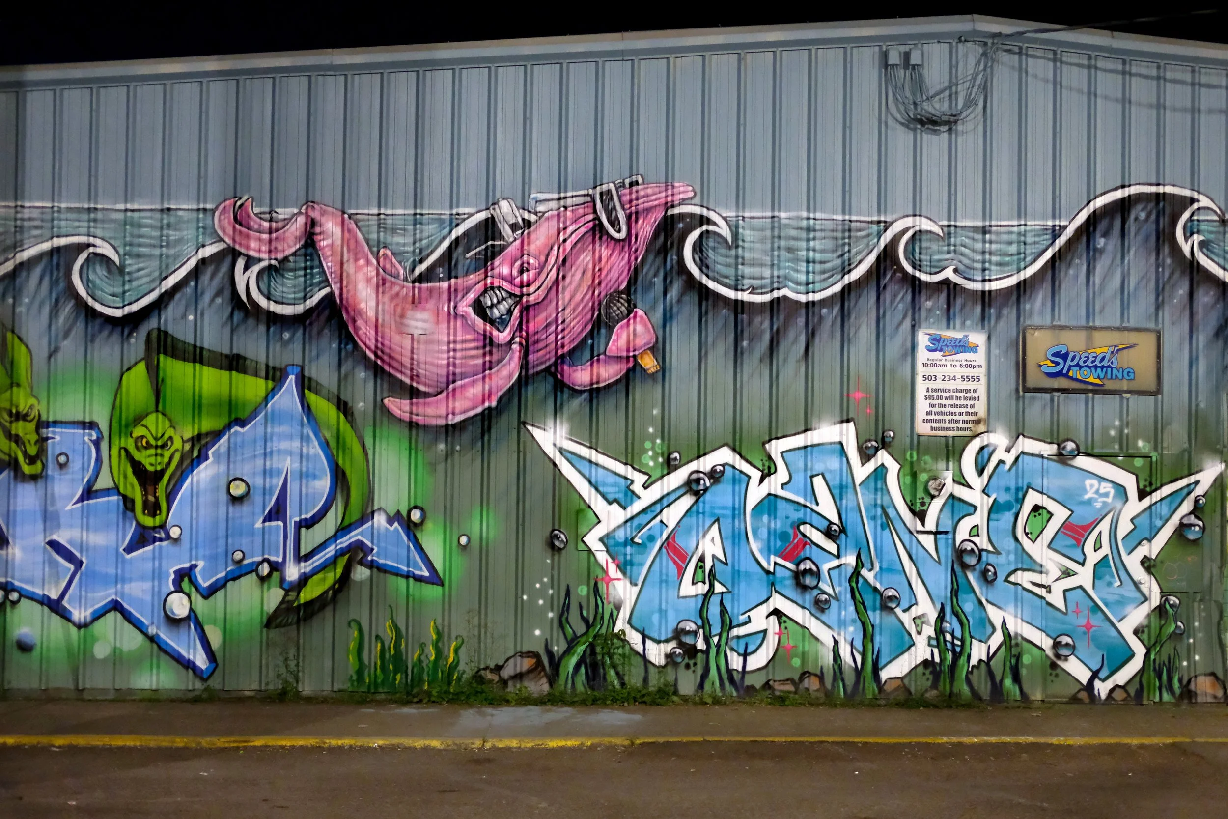 DSCF0977.JPG