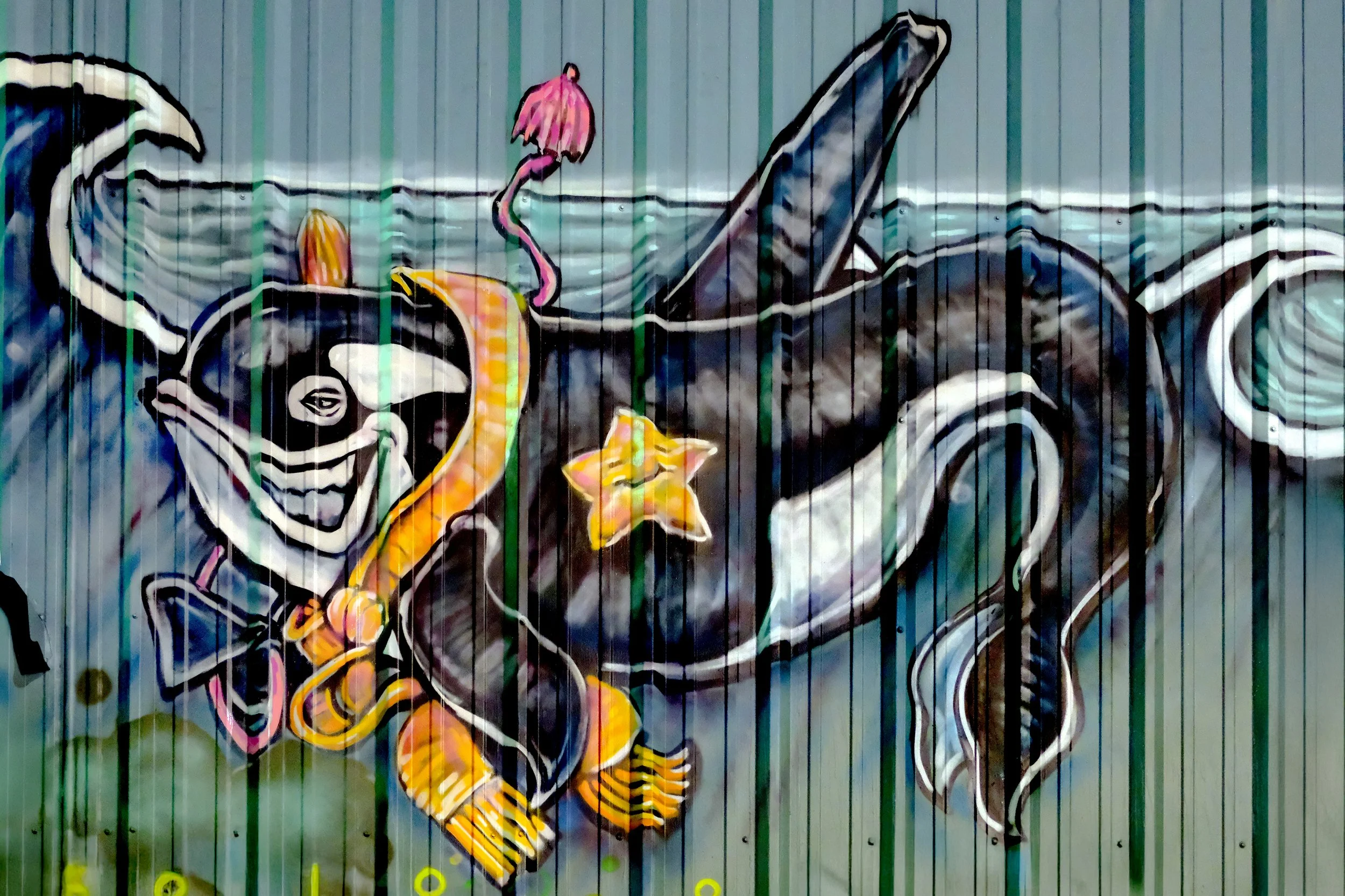 DSCF0973.JPG