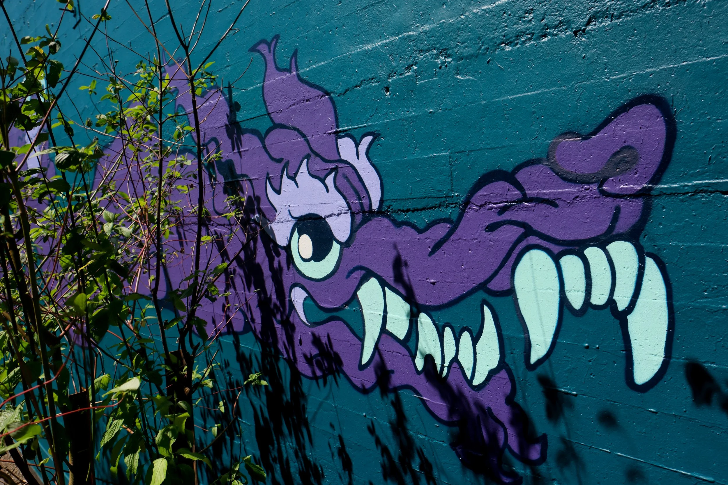 DSCF0140.JPG