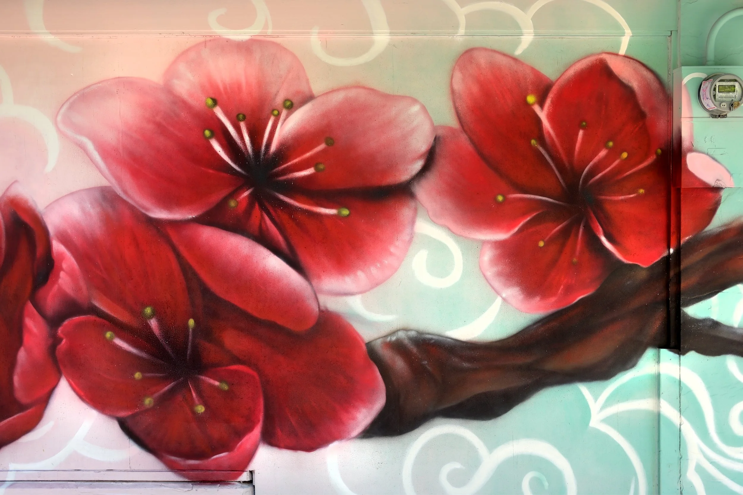 STILL WE BLOOM